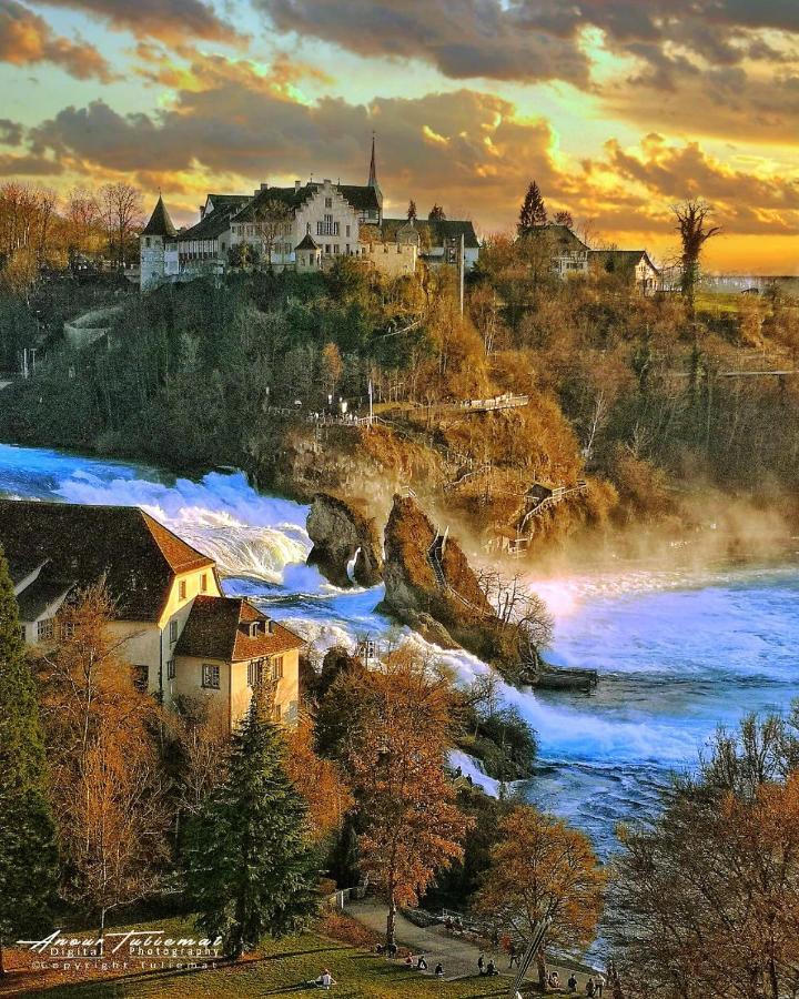 Near Rheinfall *