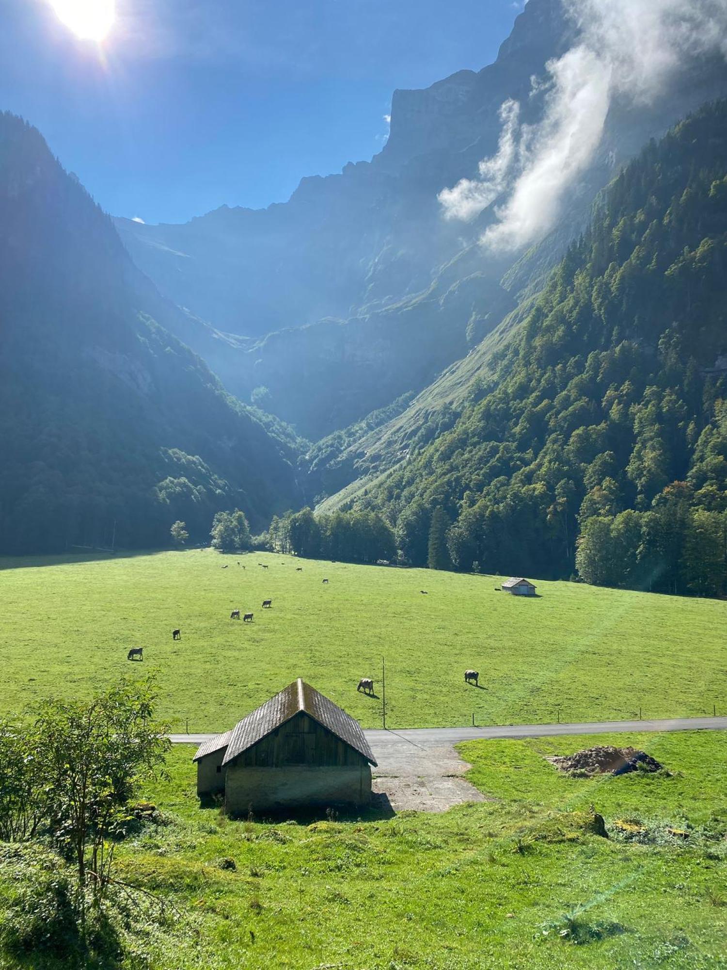 Near Rheinfall Lejlighed *