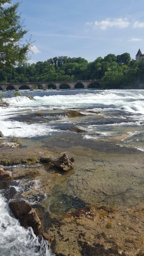 Apartment Near Rheinfall