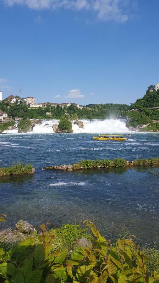 Near Rheinfall Apartment *